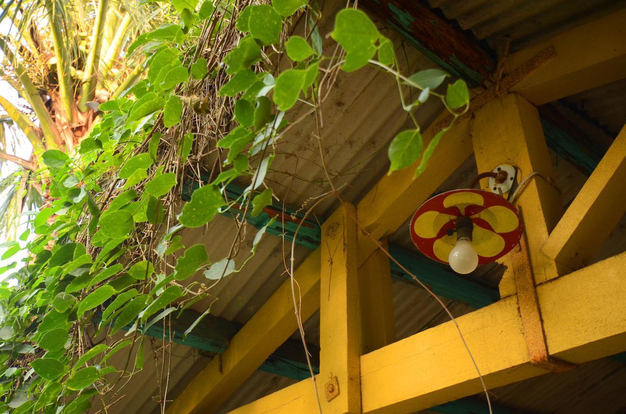 Sky Gift Traditional Farm B&B Dongshi  エクステリア 写真
